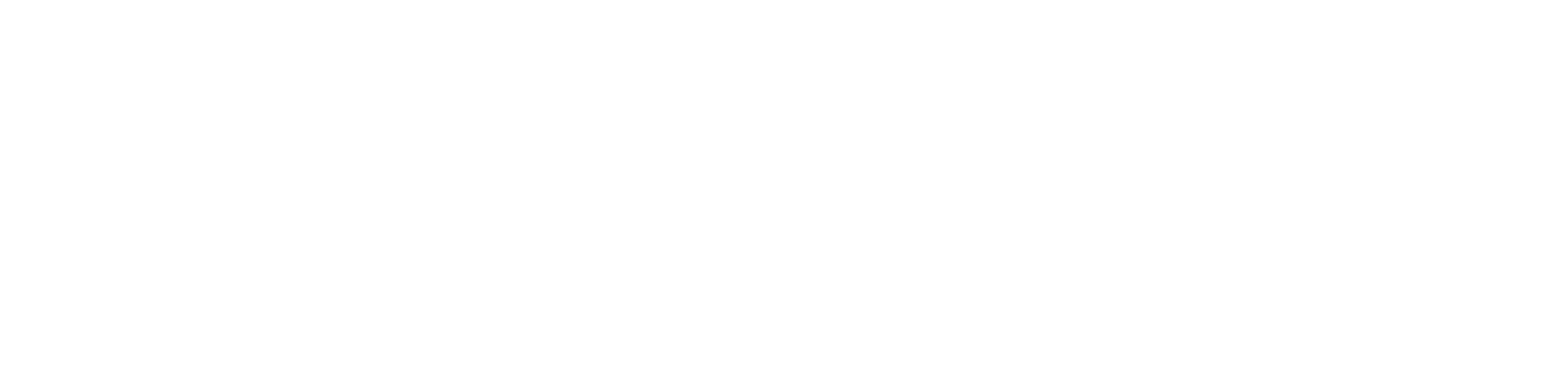 The Bubble Company